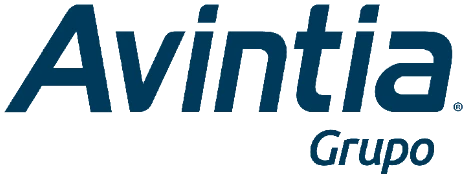 Grupo Avintia